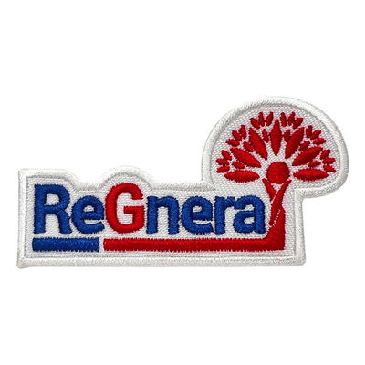 Pandone Logo Patches Twill Felt Fabric bordado color se divierte el forro del velcro del remiendo
