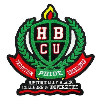 El bordado de la felpilla de la universidad remienda/los remiendos de encargo de la chaqueta del equipo universitario