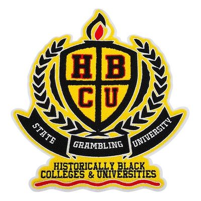 El bordado de la felpilla de la universidad remienda/los remiendos de encargo de la chaqueta del equipo universitario